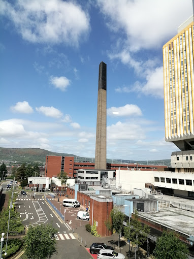 Belfast City Hospital Medical Services | Hospitals