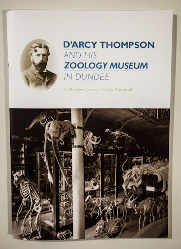 D'Arcy Thompson Zoology Museum - University of Dundee Logo