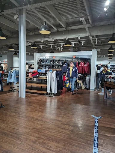 Hollister Co. Ashford Store 02