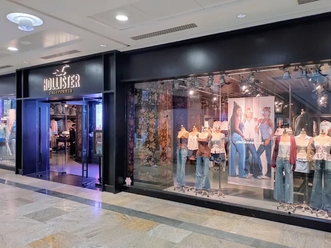 Hollister Co. Shopping | Store