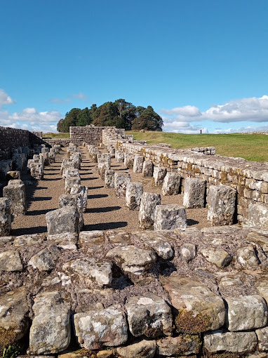 Housesteads Roman Fort - Vercovicium - English Heritage Site Housesteads Museums 03