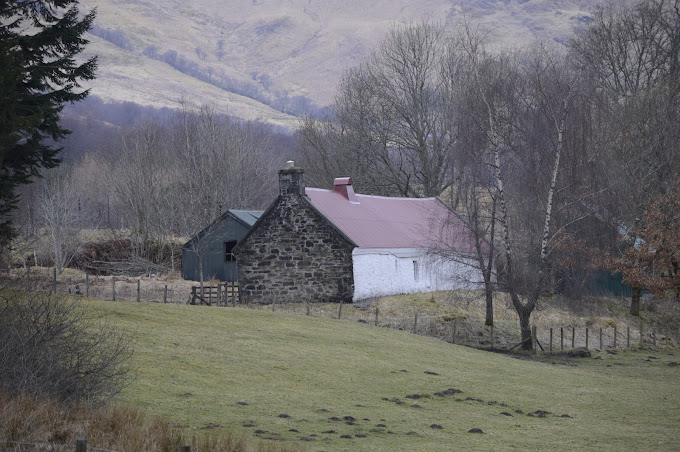 Moirlanich Longhouse Travel | Museums