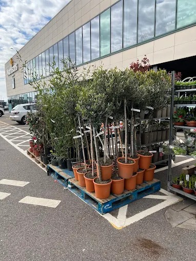 Morrisons - Newport Road Shopping | Supermarket