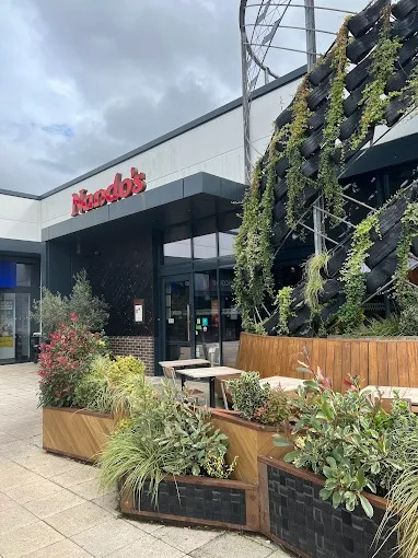 Nandos Food and Restaurant | Restaurant