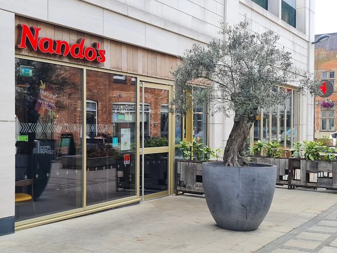 Nandos Food and Restaurant | Restaurant