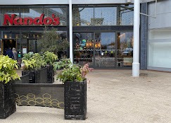 Nandos Food and Restaurant | Restaurant