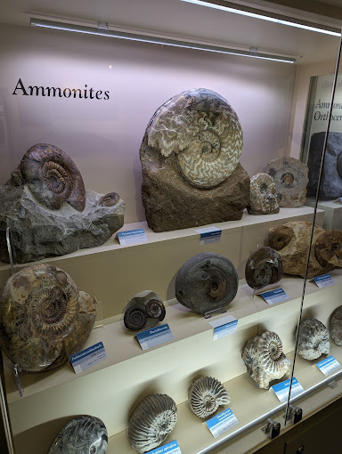Orkney Fossil and Heritage Centre Burray Museums 02