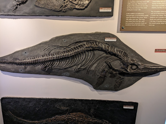 Orkney Fossil and Heritage Centre Burray Museums 03