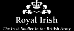 Royal Ulster Rifles Regimental Museum|Museums|Travel