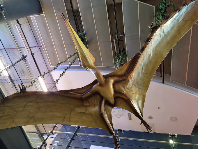 W5 Travel | Museums