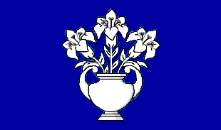 Dundee City Council icon